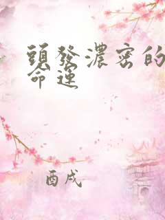 头发浓密的男人命运