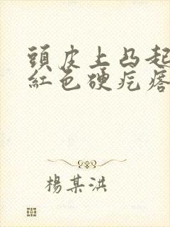 头皮上凸起一个红色硬疙瘩