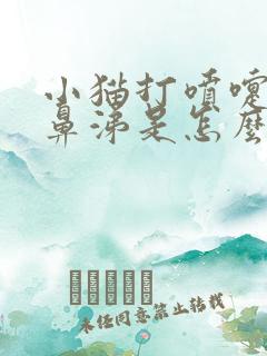 小猫打喷嚏流黄鼻涕是怎么回事