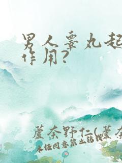 男人睾丸起什么作用?