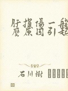 肝损伤一般是什么原因引起的