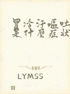 冒冷汗呕吐头晕是什么症状