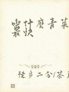 吃什么青菜排便最快