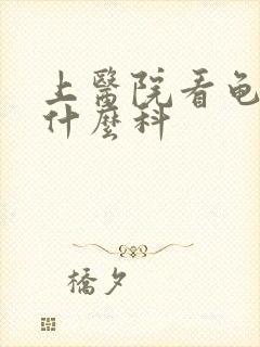 上医院看龟头挂什么科