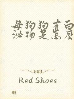 母狗狗有白色分泌物是怎么回事