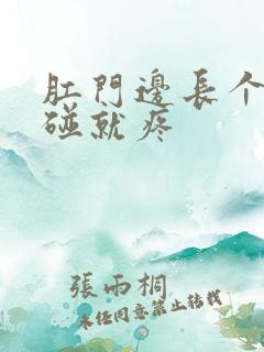 肛门边长个包一碰就疼