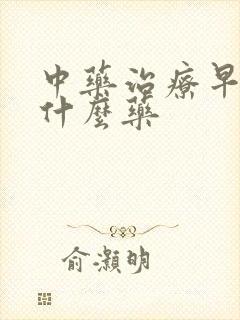 中药治疗早射吃什么药