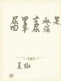 尿里有血是怎么回事尿痛