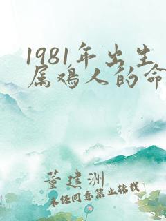 1981年出生属鸡人的命运