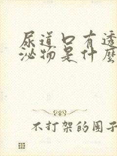 尿道口有透明分泌物是什么原因引起的