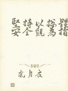 坚持以总体国家安全观为指导