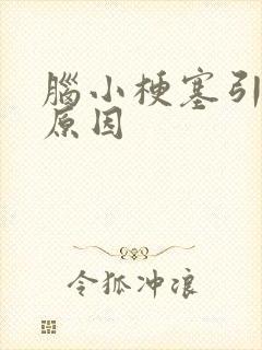 脑小梗塞引起的原因