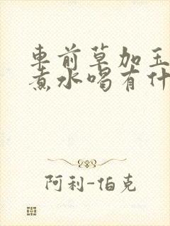 车前草加玉米须煮水喝有什么功效