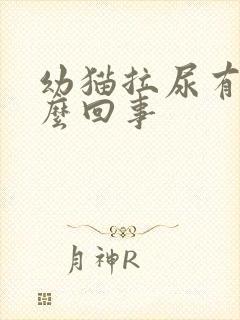 幼猫拉尿有血怎么回事