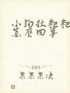 小狗拉粑粑带血怎么回事