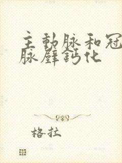 主动脉和冠状动脉壁钙化