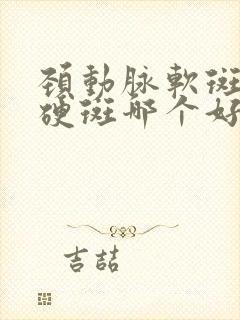 颈动脉软斑块和硬斑哪个好