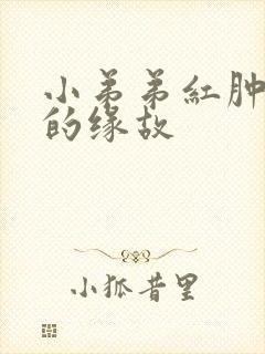 小弟弟红肿瘙痒的缘故