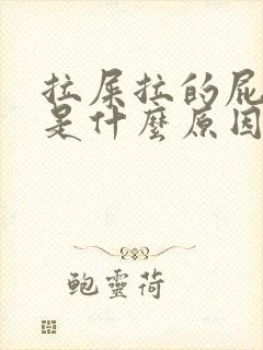 拉屎拉的屁眼疼是什么原因