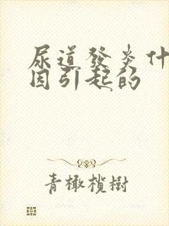 尿道发炎什么原因引起的