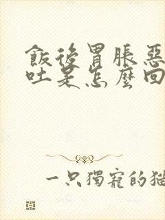 饭后胃胀恶心想吐是怎么回事