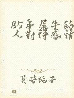 85年属牛的男人对待感情