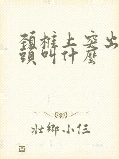 颈椎上突出的骨头叫什么