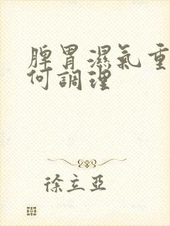 脾胃湿气重该如何调理