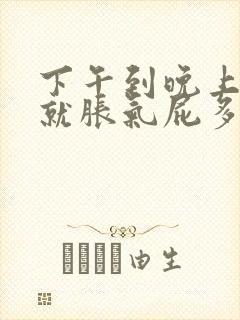 下午到晚上肚子就胀气屁多