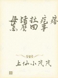 母猪拉疙瘩屎是怎么回事