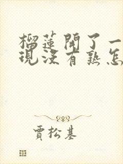 榴莲开了一半发现没有熟怎么办