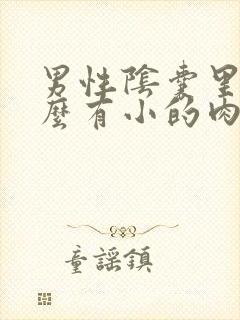 男性阴囊里为什么有小的肉粒