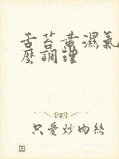 舌苔黄湿气重怎么调理