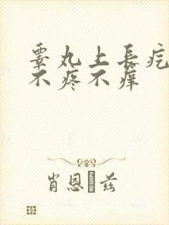 睾丸上长疙瘩,不疼不痒