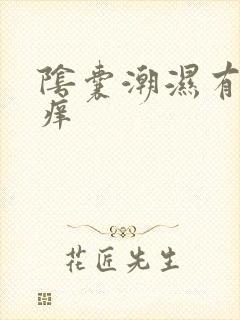 阴囊潮湿有异味痒