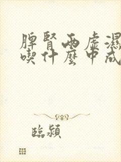 脾肾两虚湿气重吃什么中成药调理