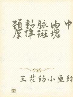 颈动脉内中膜稍厚伴斑块