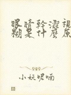 眼睛干涩视力模糊是什么原因造成的眼