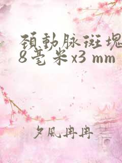 颈动脉斑块7.8毫米x3 mm