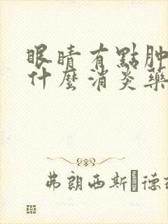 眼睛有点肿痛吃什么消炎药