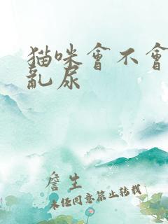 猫咪会不会乱拉乱尿