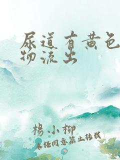 尿道有黄色分泌物流出