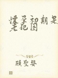 怀孕初期是不是老犯困