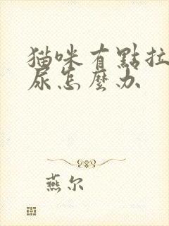 猫咪有点拉不出尿怎么办