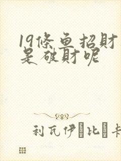 19条鱼招财还是破财呢