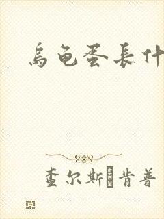 乌龟蛋长什么样