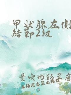 甲状腺左侧囊性结节2级