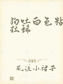 狗吐白色粘液还拉稀