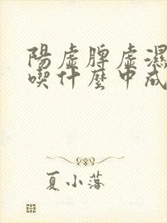 阳虚脾虚湿气重吃什么中成药