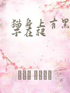 猫身上有黑色虫子在爬